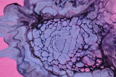 Close-up of flowing liquid ink forming an abstract pattern in shades o — Photo by Diana ✨ on Pexels