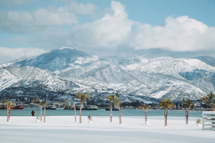 Snowy Mountain Ridge Near Sea And Palm Trees