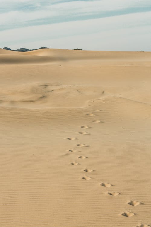 Ilmainen kuvapankkikuva tunnisteilla aavikko, hiekka, jalanjäljet Kuvapankkikuva