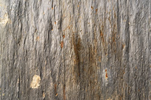 Kostnadsfri bild av bakgrund, rock, rost