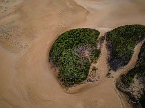 Aerial View of a Landscape
