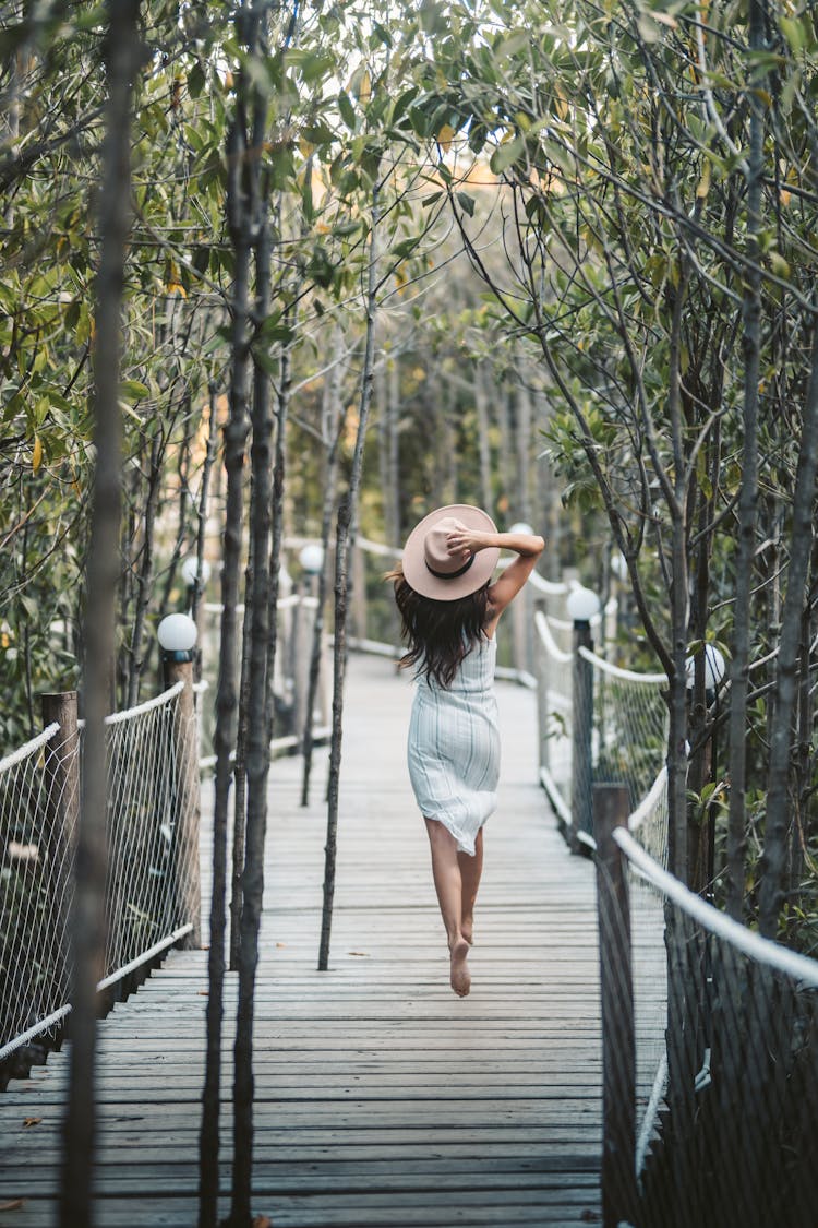 Back View Of A Woman Walking In The Bridge