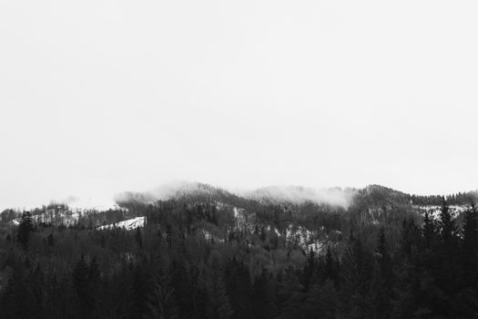 A tranquil black and white landscape of snowy forest treetops in winter.