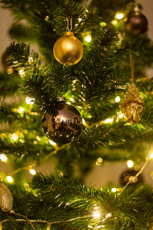 Free Christmas Tree in Close Up Photography Stock Photo