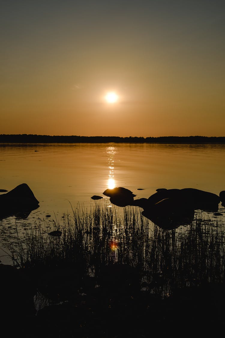 Rocky Seashore During Sunset