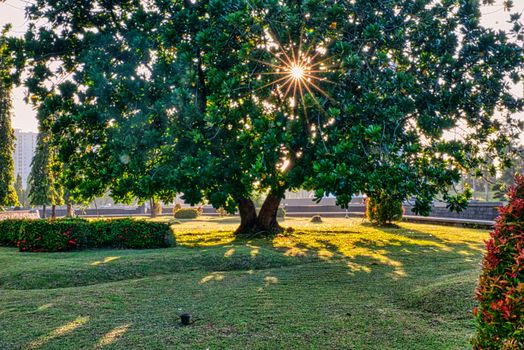Bogor botanical gardens day — Jakarta