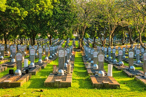 Rows of tombstones with military helmets located on grassy main heroes cemetery with tall lush trees and bright sunlight in Kalibata