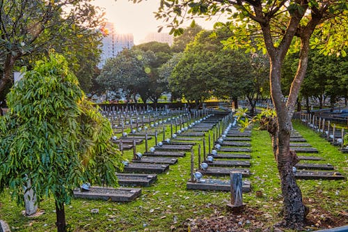 Rows of gravestones with military hardhats located on grassy national main heroes cemetery with lush tall green trees in Kalibata