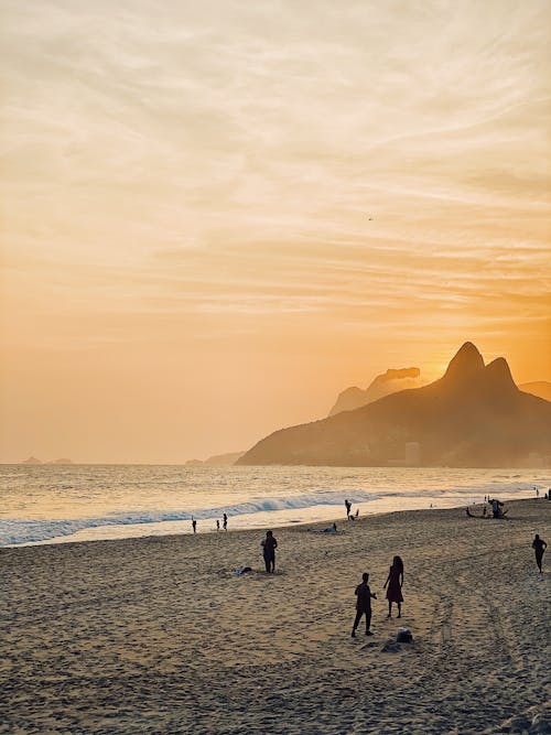 Silhouette of People on the Beach during Sunset