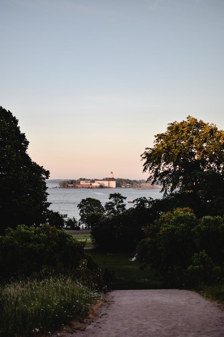 Pathway Between Trees And Towards The Sea