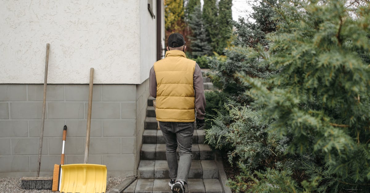 Commercial Cleaning House Cleaning