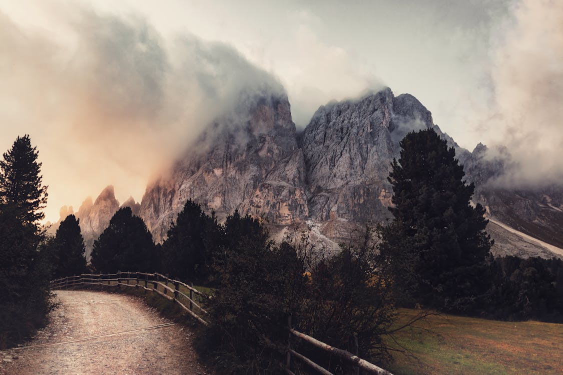 Grey Mountain Near Trees