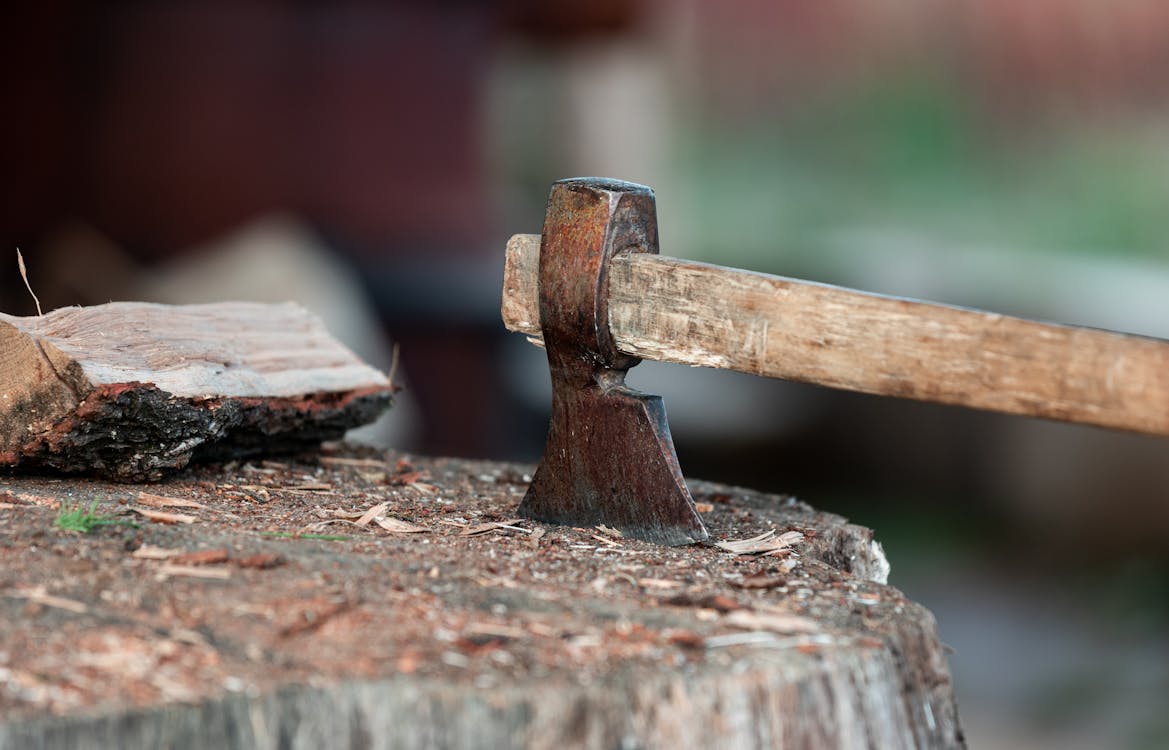 Foto de stock gratuita sobre de cerca, hacha, leña, tocón de árbol, tronco  de madera