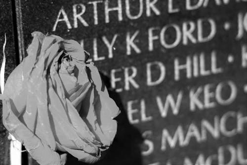 Free stock photo of vietnam wall