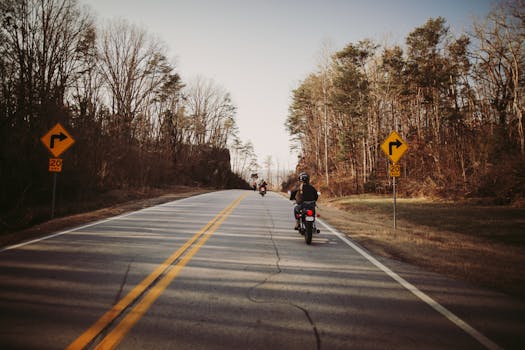 Unrecognizable people in helmets riding motorbikes on asphalt road among tall trees against cloudless blue sky on sunny autumn day