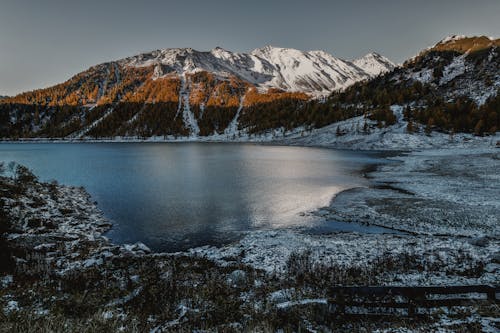 Brown Et Blanc De Haute Montagne à Côté De Plan D'eau