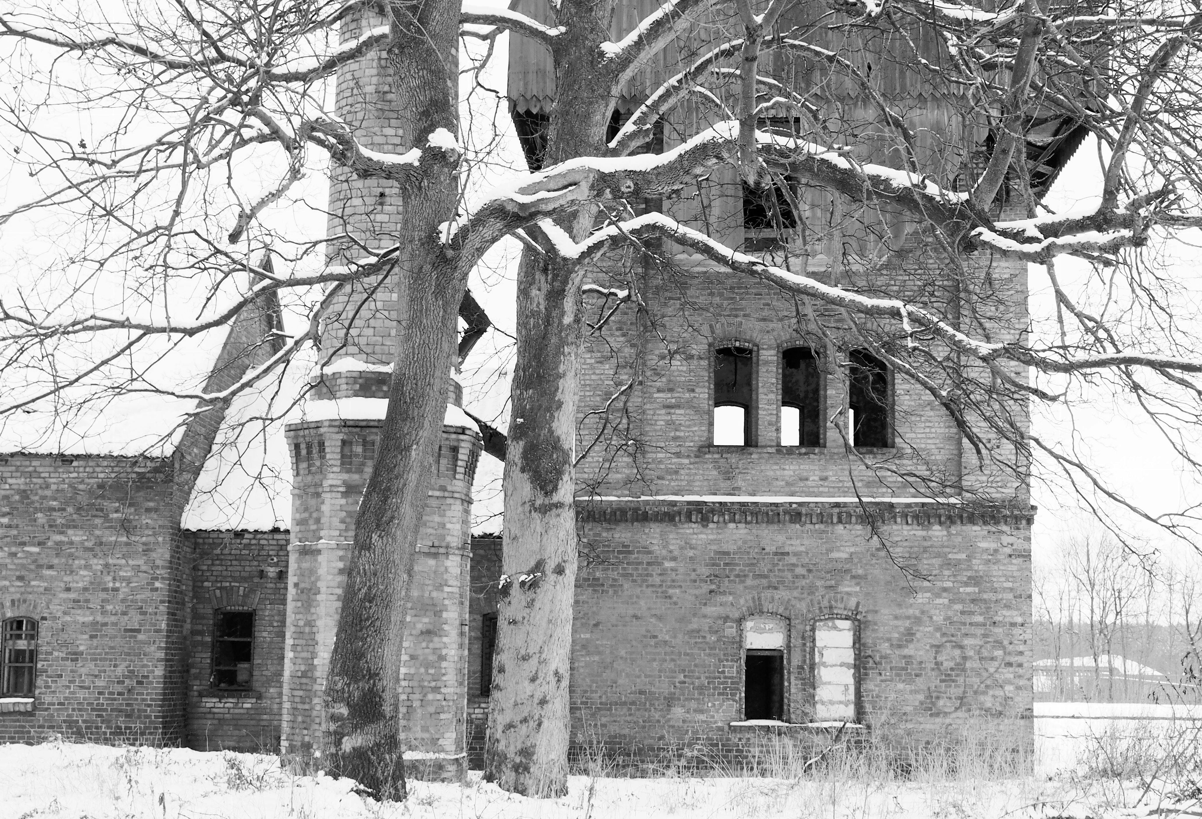 Plato de poutine tradicional de Montreal