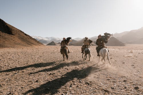 Foto profissional grátis de andar a cavalo, ao ar livre, aventura