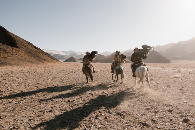 Back View Of People Riding Horses 