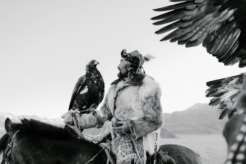 Grayscale Photo of Eagle Perching on the Man's Arm 