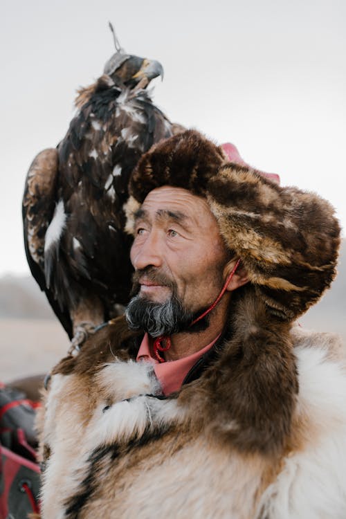 Eagle Perching on the Man's Shoulder 