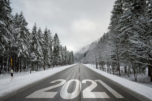 Free คลังภาพถ่ายฟรี ของ 2021, ต้นไม้, ถนน Stock Photo