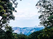 黎明时分，宁静的森林中，绿树成荫，蔚蓝山脉的壮丽景色尽收眼底