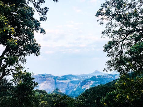 黎明时分，宁静的森林中，蔚蓝山脉的壮丽景色尽收眼底，绿树成荫
