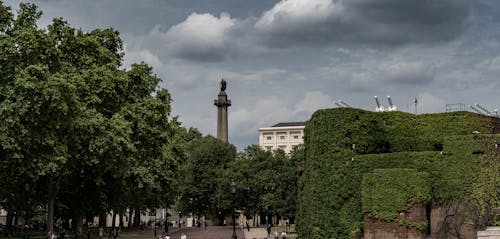 abide, bitki örtüsü, park içeren Ücretsiz stok fotoğraf