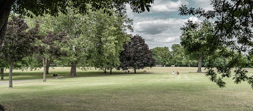 Mayow Park in London, England