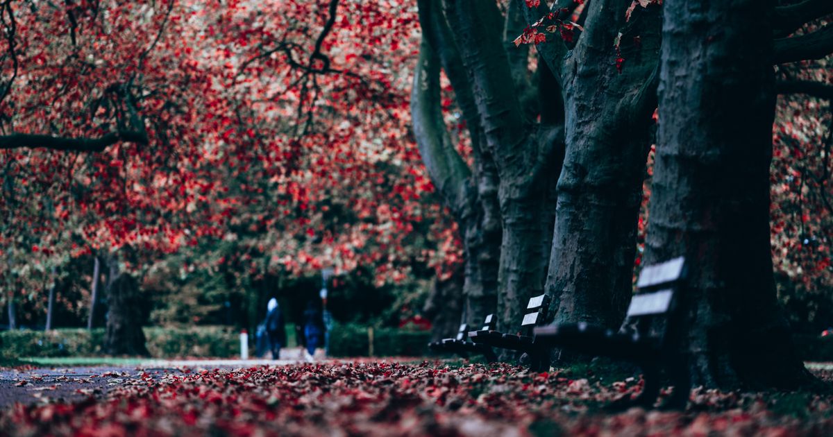 Couverture : The most beautiful gardens and parks of Paris