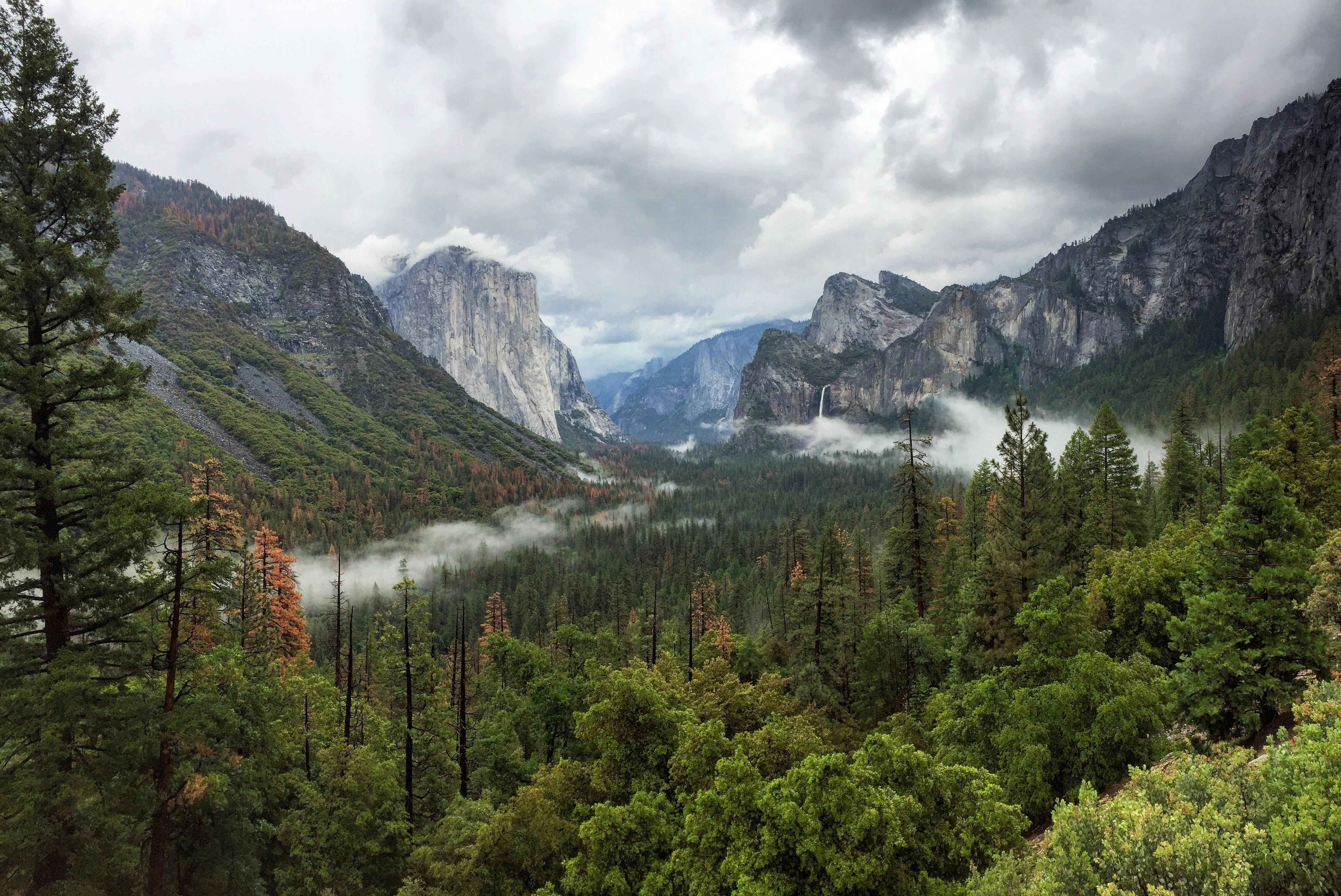 Trees Near Mountain · Free Stock Photo