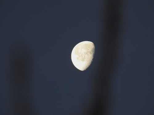 Free Waning Gibbous in the Night Sky Stock Photo