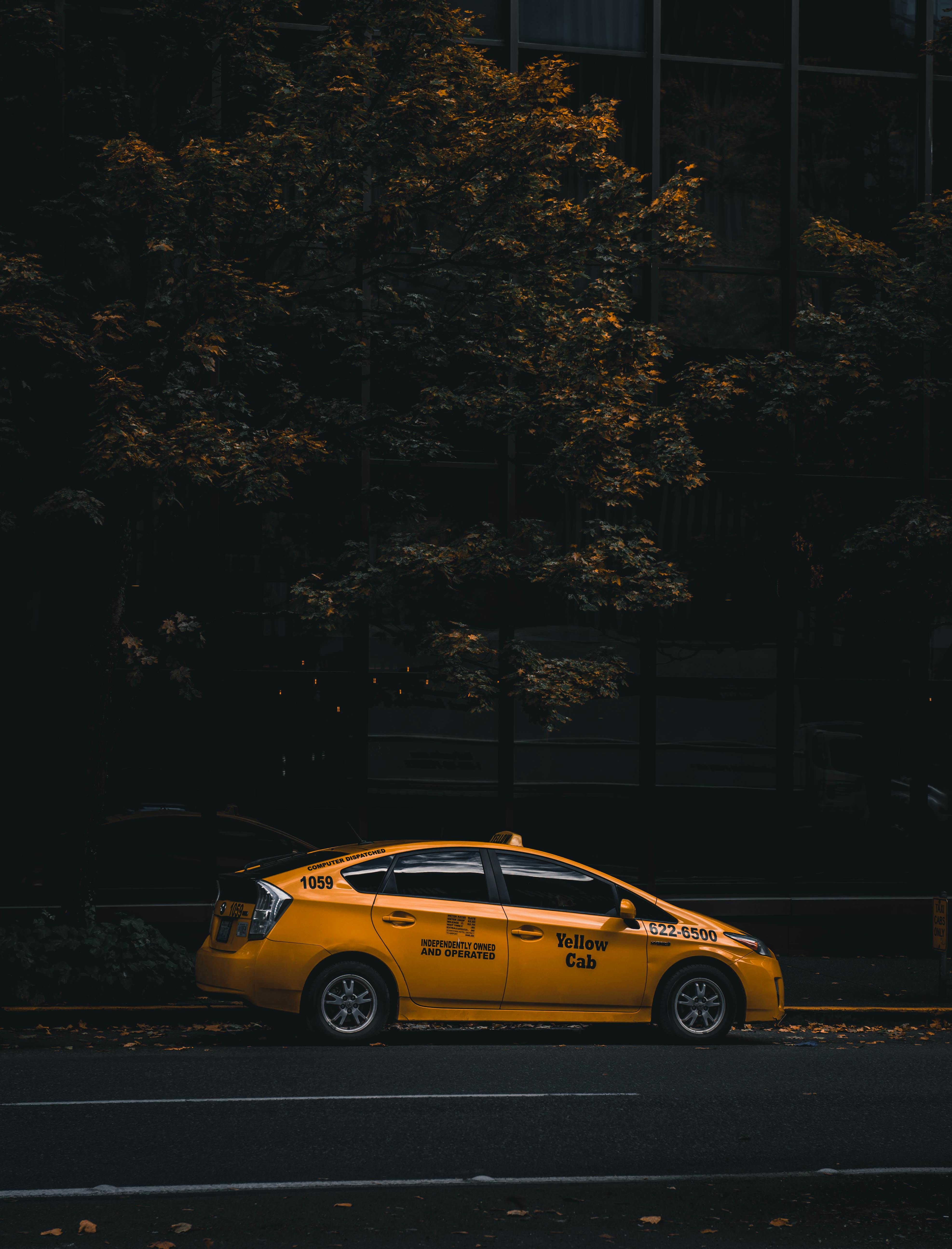 Mobile wallpaper: Taxi, Smooth, Shine, Car, Street, Light, Cars, Blur,  92303 download the picture for free.