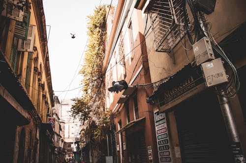 Narrow alley between aged residential houses with shutters on windows located on street with wires and green trees in town