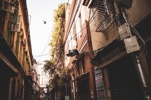 Free Narrow alley between aged residential houses with shutters on windows located on street with wires and green trees in town Stock Photo