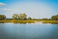 平静的河面上，一艘孤帆静静漂荡，四周绿植葱郁，天空清澈湛蓝