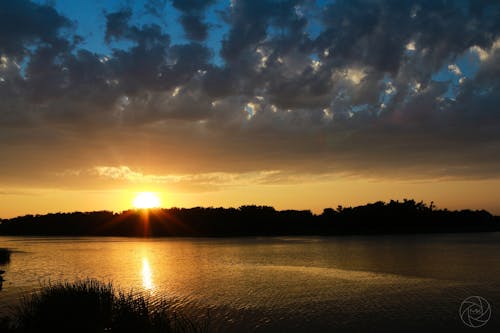 Free stock photo of creek, sunset