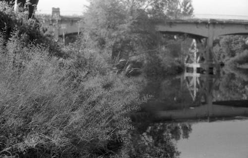 Gratis stockfoto met brug, bruggen, reflectie