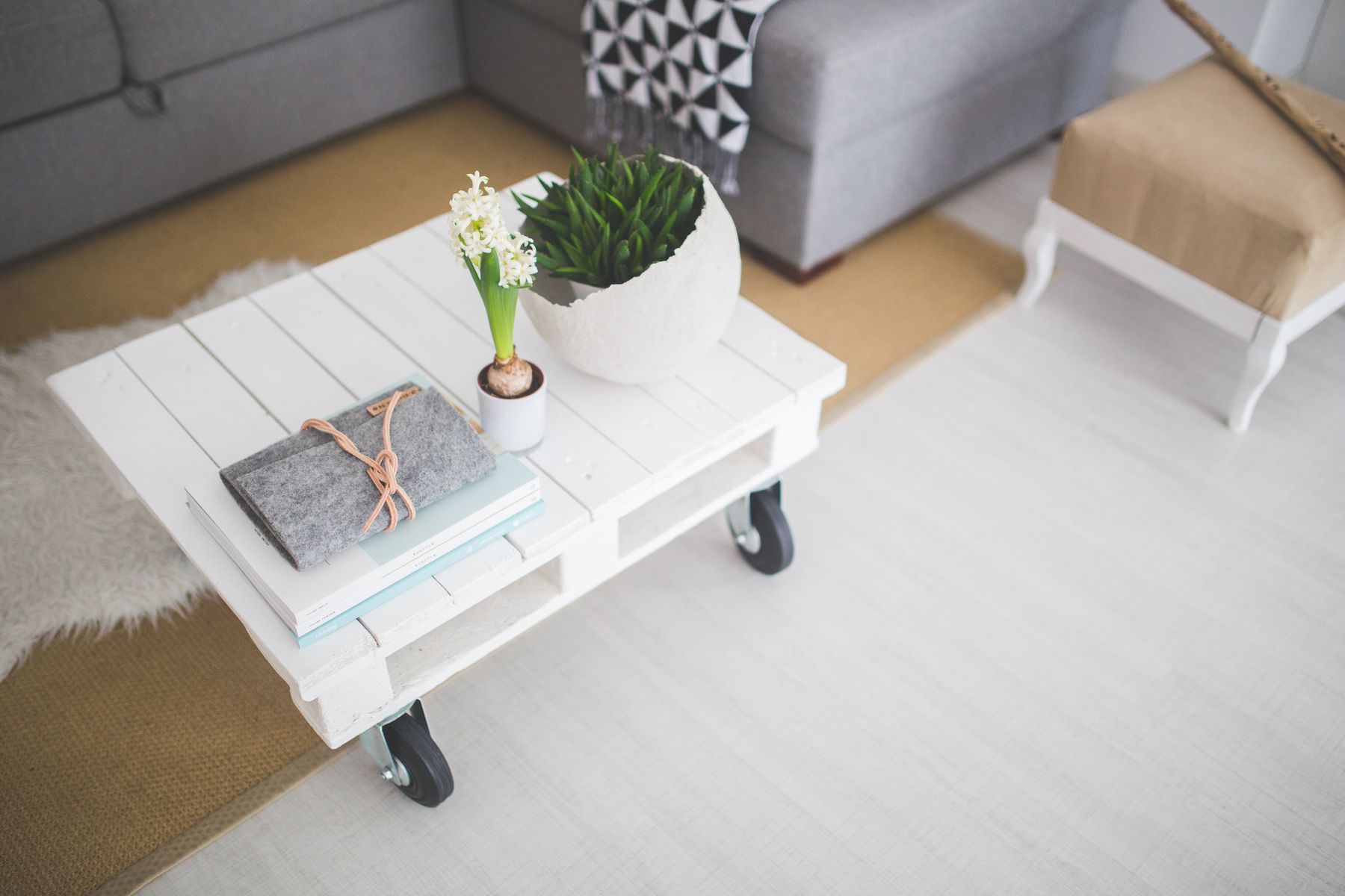 A bright, freshly cleaned South West London living room with natural light, plants and a tidy coffee table.