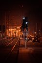 Cars on Road during Night Time