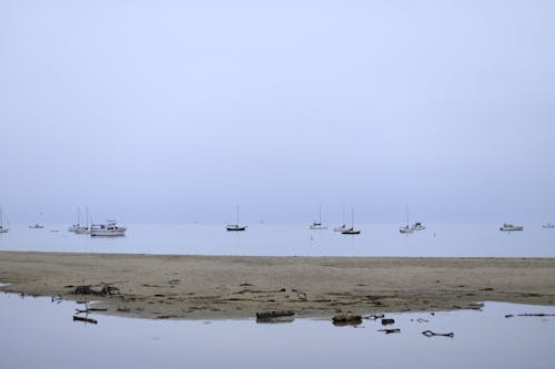 Fotos de stock gratuitas de aguas tranquilas, arena marrón, barcos