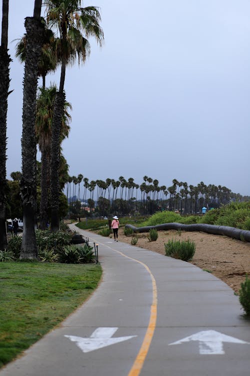 Immagine gratuita di allenamento mattutino, beach-passeggiata, california