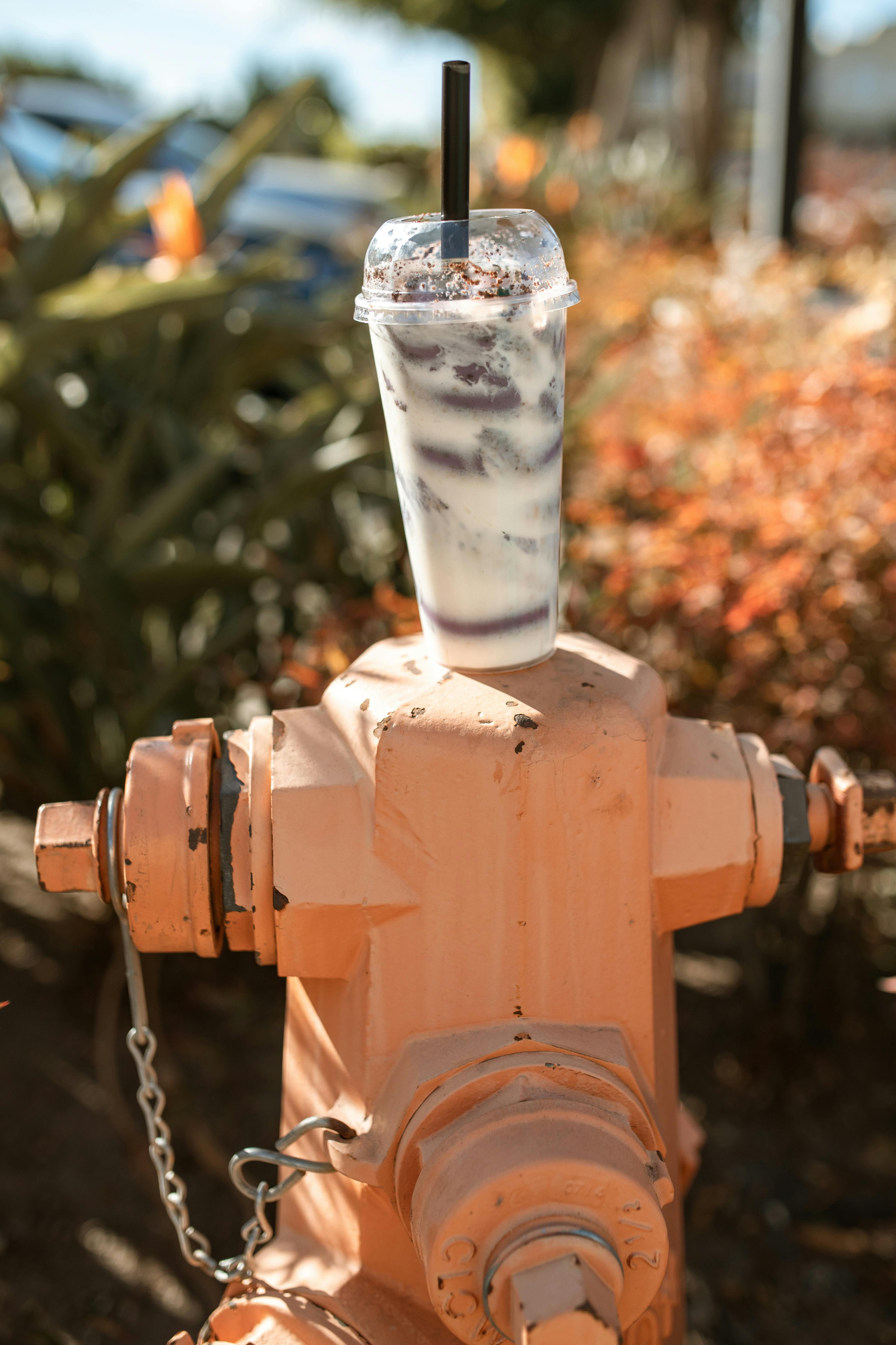 100+ Best Boba Photos · 100 Free Download · Pexels Stock Photos