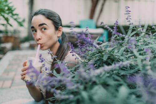 Fotos de stock gratuitas de adulto, al aire libre, amante de los gofres