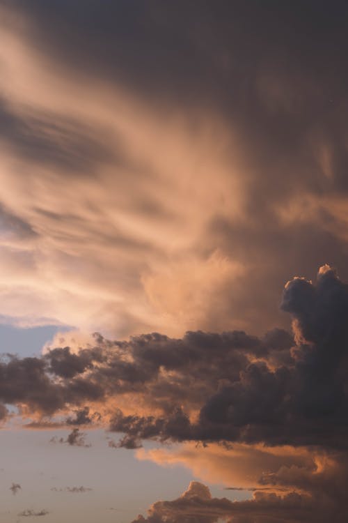 Foto profissional grátis de admirar, altitude, ângulo baixo