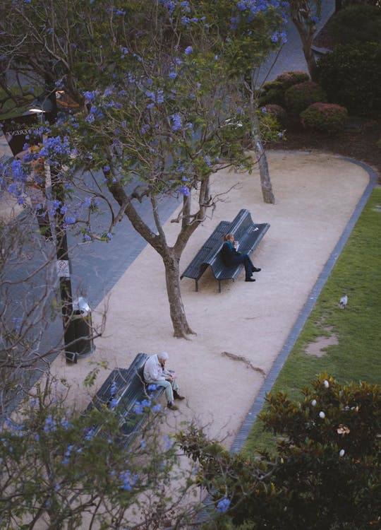 People sitting on benches in city park