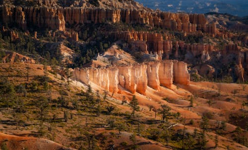 Picturesque scenery of rough sandstone formation with stiff slopes amidst sandy terrain and random vegetation