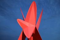 Red and Black Star Decor