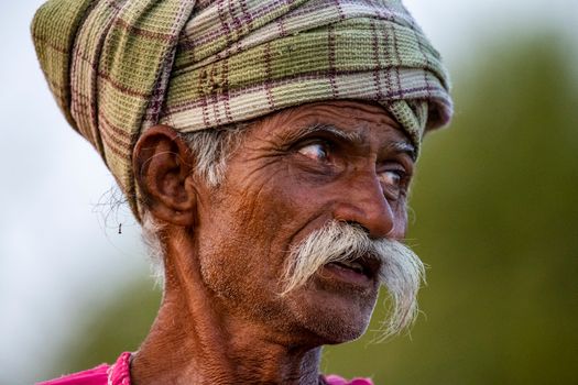 Low angle of Indian male with wrinkled face and mustache against blurred nature looking away